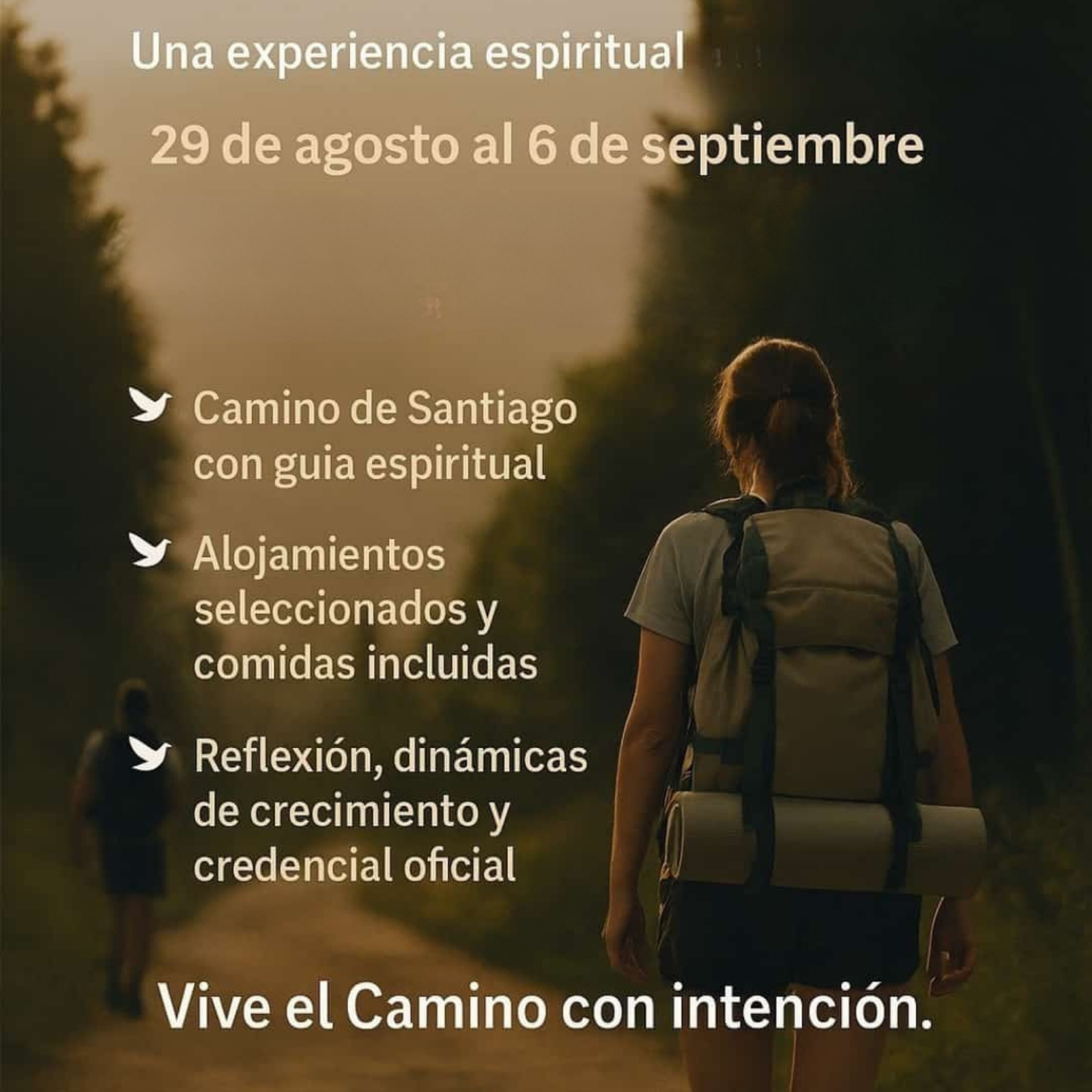 Camino de Santiago. Segundo pago