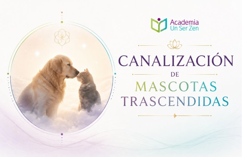 Curso de canalización de mascotas trascendidas